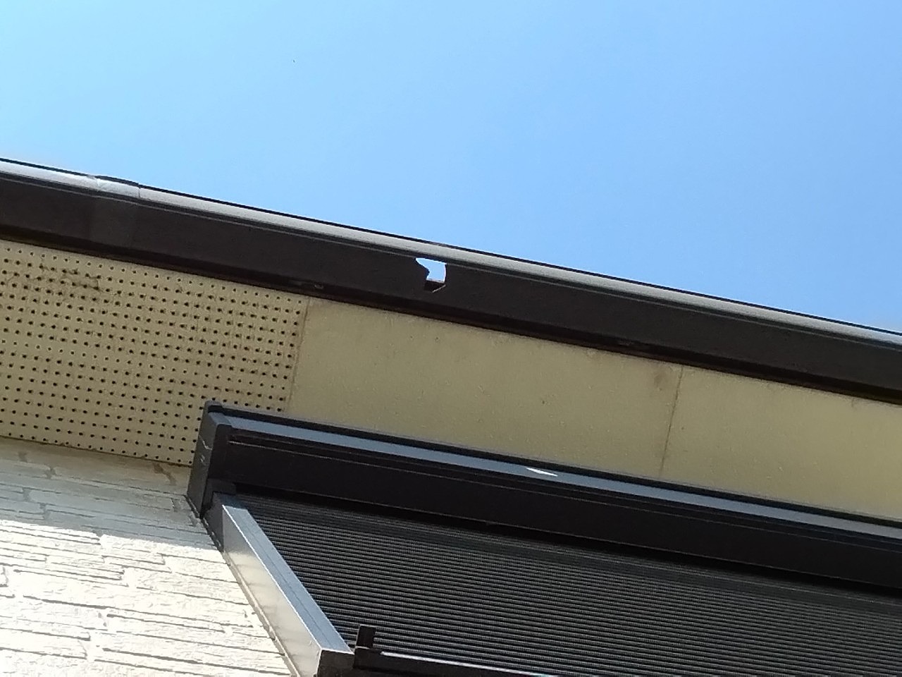 姫路市　雨樋(角樋)に穴あきと軒天に雨染み